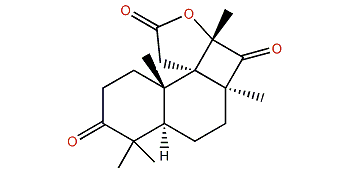 Cyclobutastellettolide A